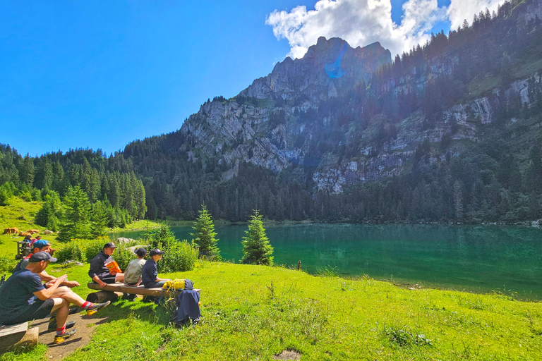 Interlaken: Scenic Walk and Raclette by the Mountain Lake