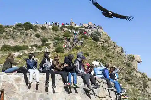 Colca Canyon: 2-Day Tour from Arequipa to Puno