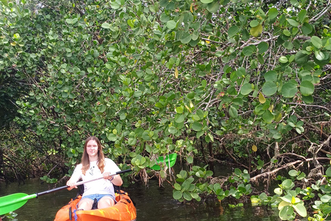 UZI ISLAND MANGROVE CONSAVATION WITH KAYAK TOUR PRIVATE TOUR WITH TRANSFER INCLUDED
