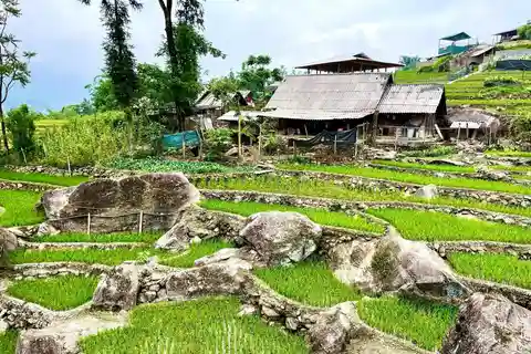 SAPA: 2 DAYS Walking & 1 night at Homestay with LOCAL GUIDE