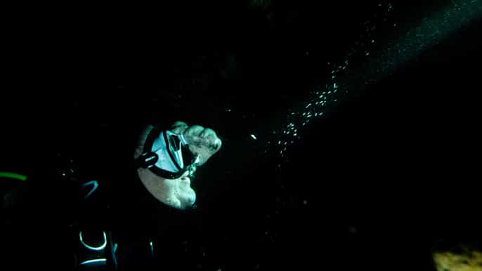 maui ecofriendly night dive tour for certified divers
