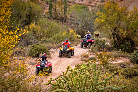 Tour guidato in UTV delle antiche rovineUTV a 2 posti