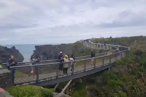 Da Greymouth: Tour delle buche di Punakaiki e delle rocce di Pancake