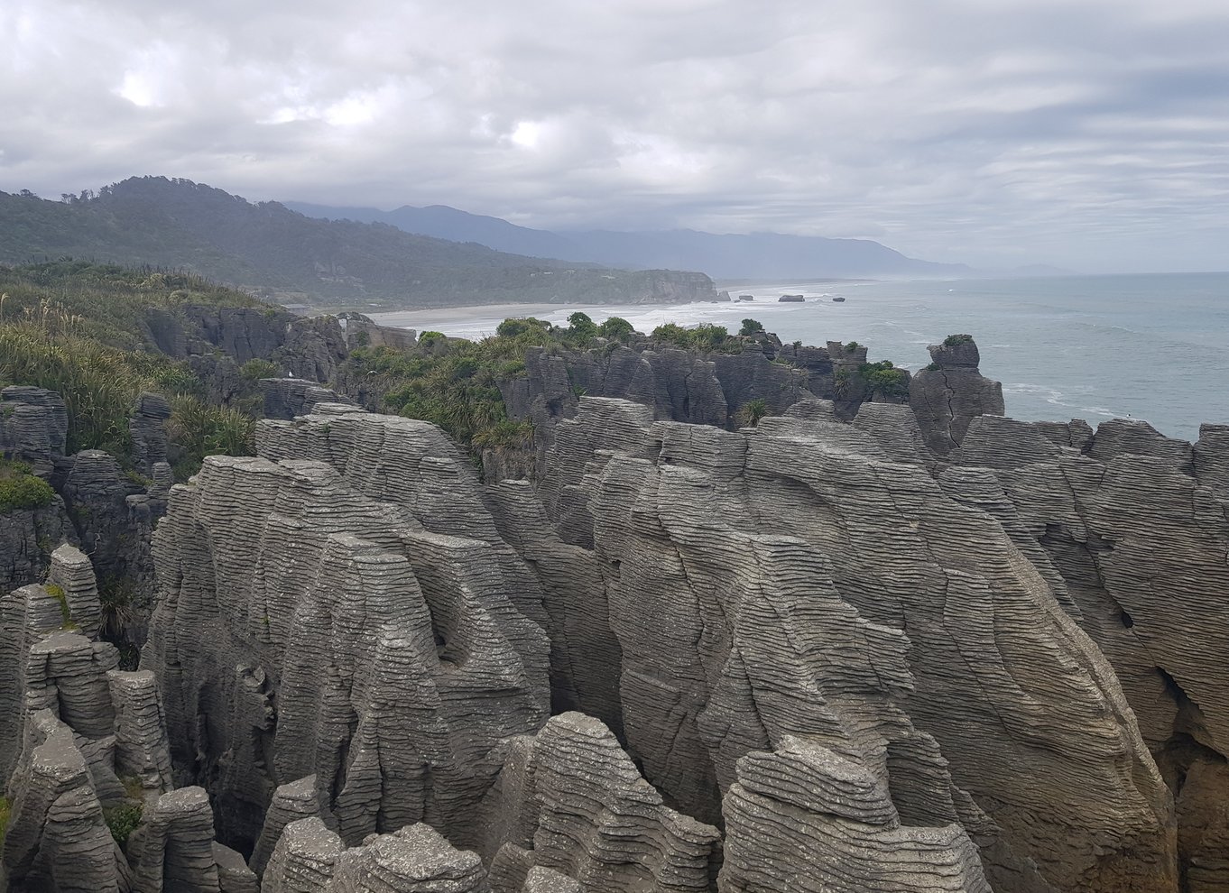 Fra Greymouth: Punakaiki Blowholes & Pancake Rocks Tour