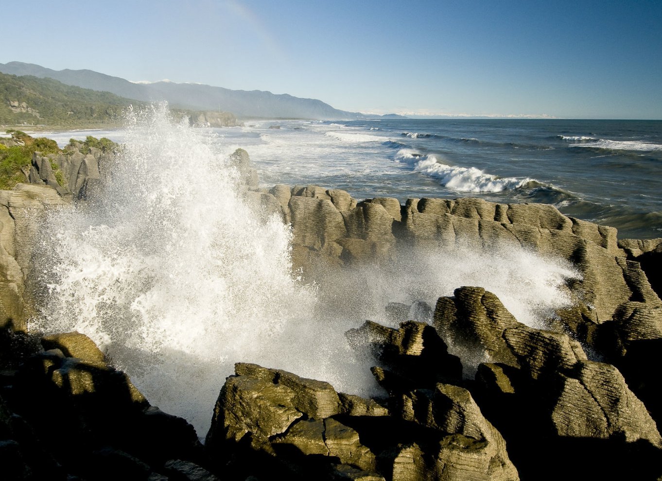 Fra Greymouth: Punakaiki Blowholes & Pancake Rocks Tour