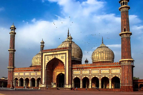 Delhi: Old and New Delhi Private One Day Tour Delhi Tour with Entrance Tickets