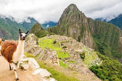 Ab Cusco: Machu Picchu-Tour mit TicketsInca Rail 360º Zug - Panoramadeck