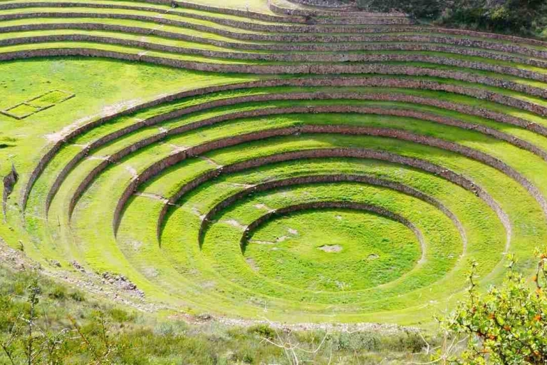 De Cusco: Visite privée d'une demi-journée à Maras et Moray