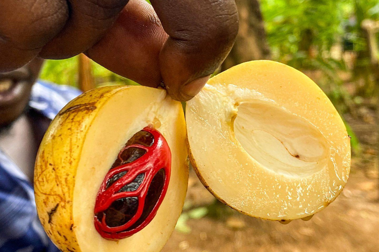 Zanzibar: Stone Town, farma przypraw i wycieczka na wyspę więzienną