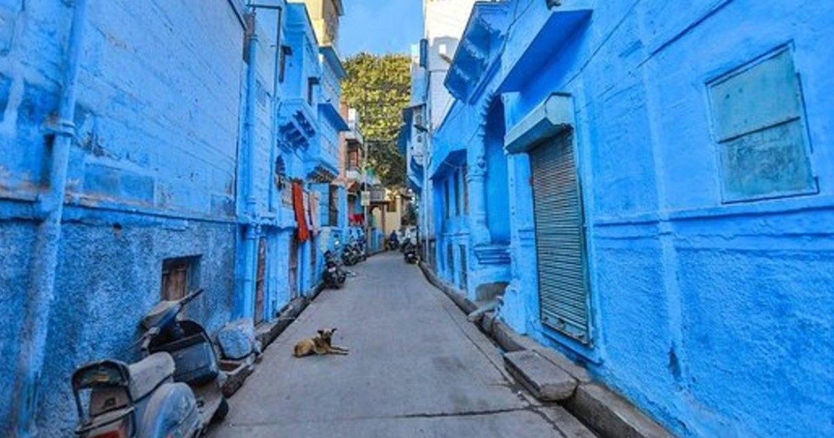 Jodhpur : Blue City Heritage Walking Tour | GetYourGuide