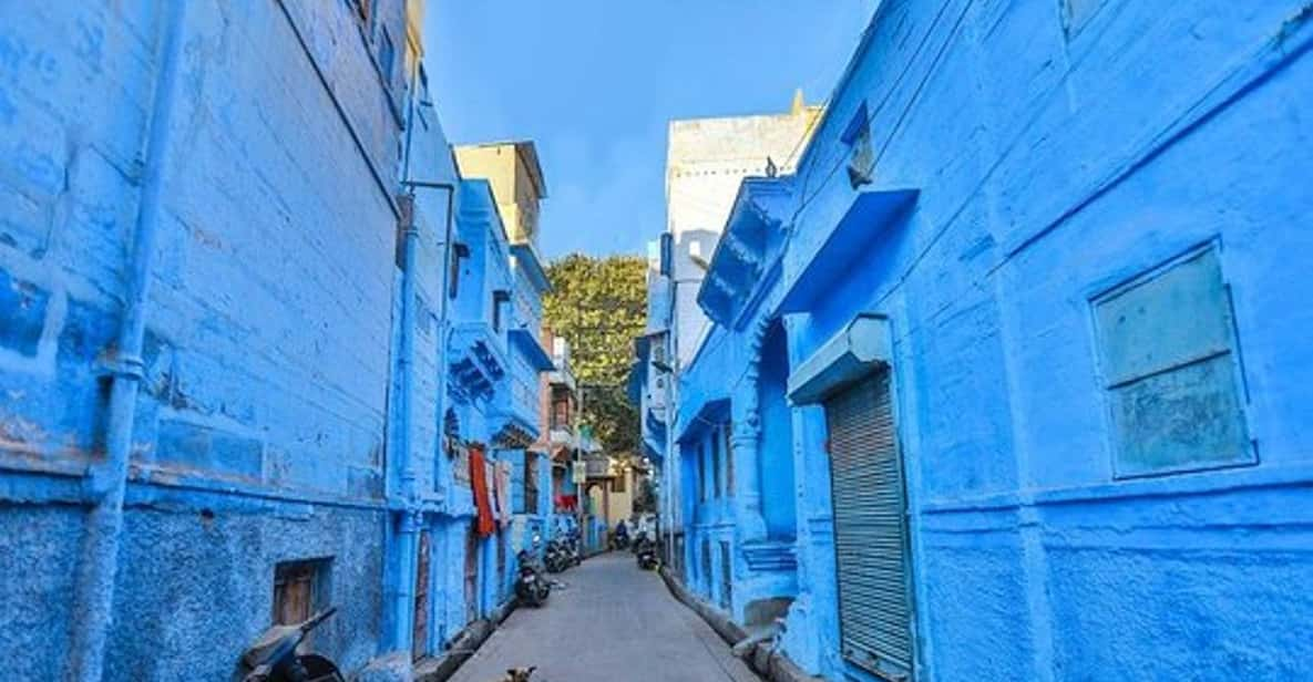 Jodhpur Blue City Heritage Walking Tour Getyourguide 0135