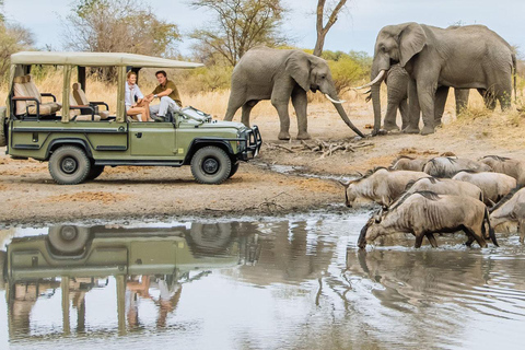 7 dias de Safari pela vida selvagem no Quénia e Safari na Praia de Diani