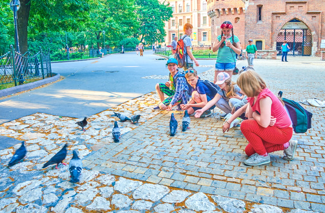 Family Tour of Krakow Old Town with Sweets Factory & Cruise