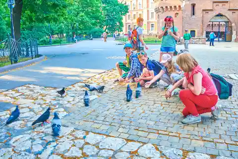 Krakovan vanhankaupungin perhekierros makeistehtaalla ja risteilyllä