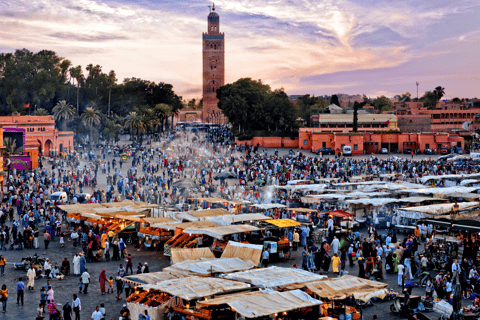 Von Casablanca aus: Tagesausflug nach Marrakech mit KamelrittPrivate Tour