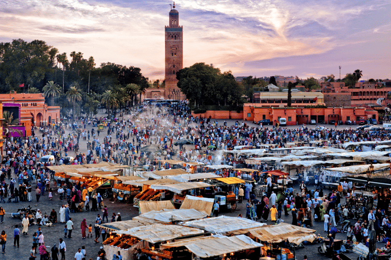 Au départ de Casablanca : Excursion à Marrakech avec balade à dos de chameauVisite privée