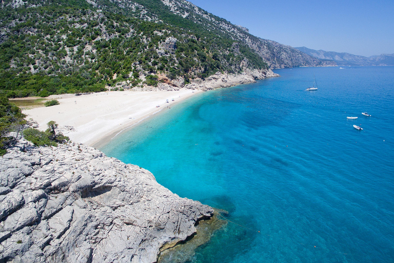 Santa Maria Navarrese: Full-Day Costa di Baunei Boat Tour