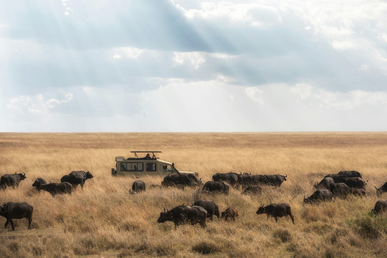 8-Day Group budget Safari Through Kenya and Tanzania