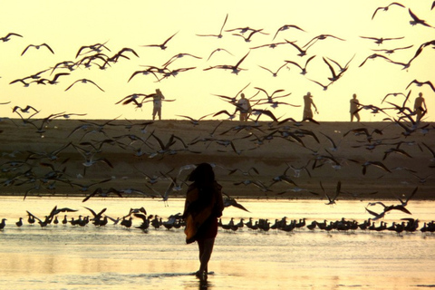 Van Puerto Escondido: vogels kijken op een boot