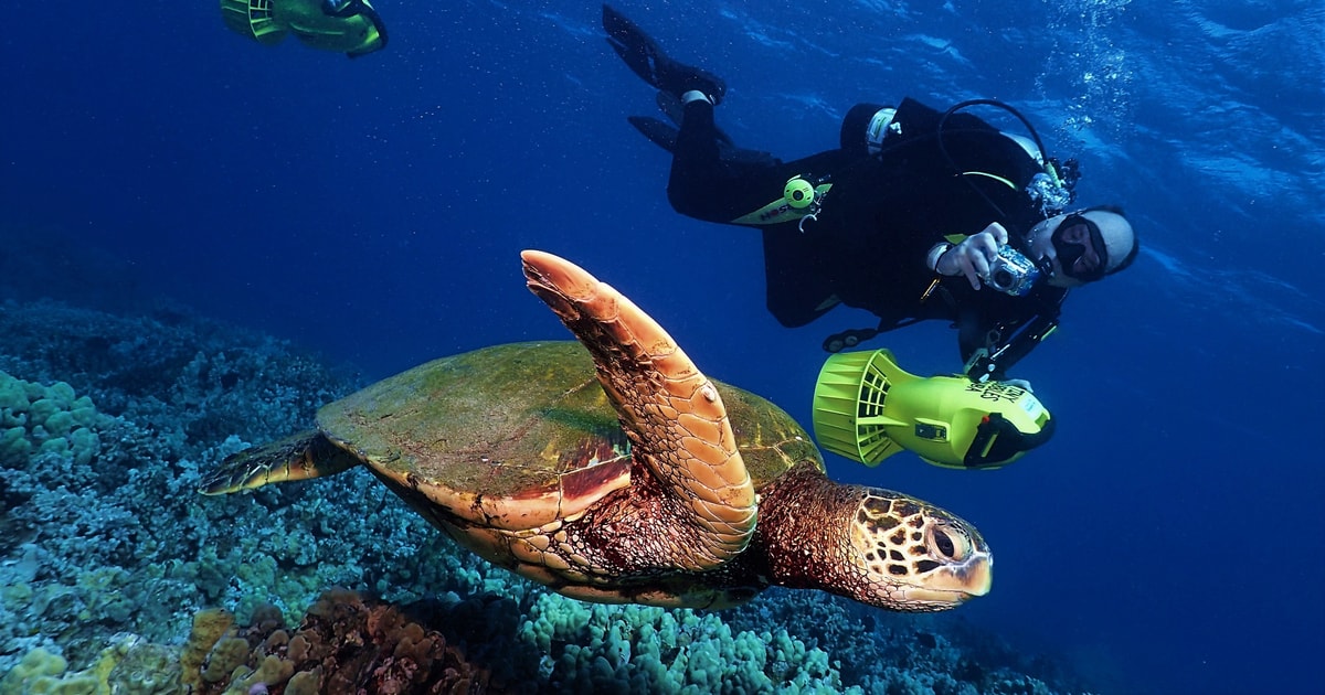 West Maui Scooter Dive for Certified Divers GetYourGuide