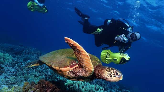 west maui scooter dive for certified divers