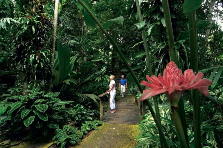 Cairns: Half-Day City Sightseeing Tour Tour Starting from Cairns