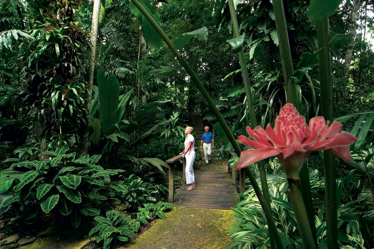 Cairns: Half-Day City Sightseeing Tour Tour Starting from Palm Cove and Trinity Beach