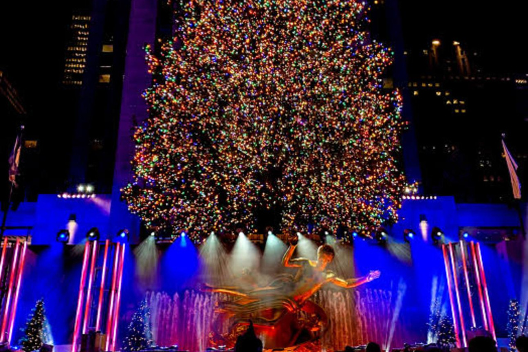 NYC: Central Park Christmas Lights Horse-Drawn Carriage Ride