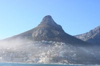Cape Town, Marine Big 5 Ocean Safari from V&A Waterfront - Housity