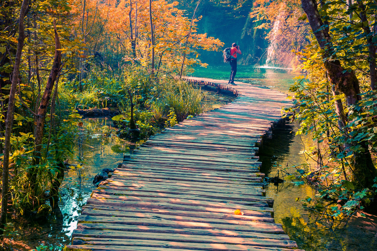 De Split/Trogir: Tour guiado em grupo pelos Lagos PlitviceDe Trogir: excursão em grupo ao Parque Nacional dos Lagos de Plitvice