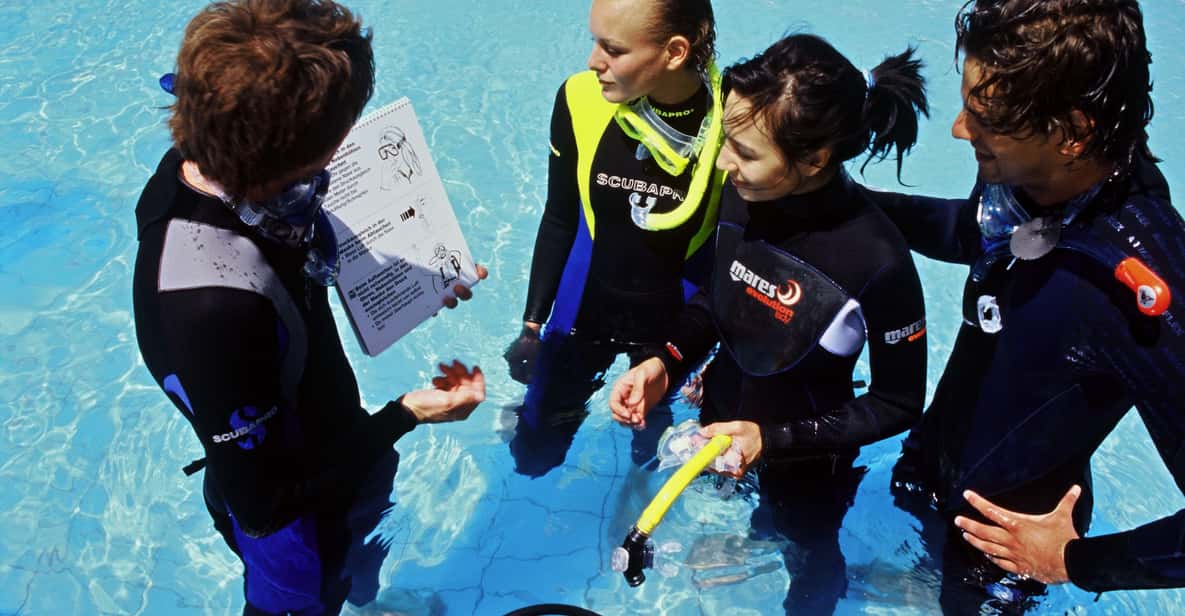 Cape Town Discover Scuba Diving Experience GetYourGuide
