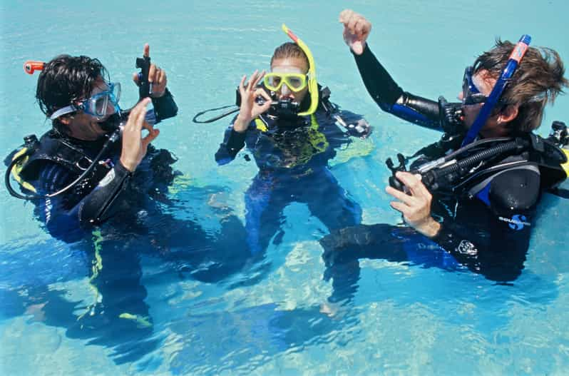 Cape Town: Discover Scuba Diving Experience | GetYourGuide