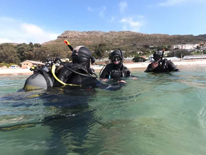 Cape Town Discover Scuba Diving Experience GetYourGuide