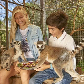 Krazy World: Ingresso para Parque e Zoológico Interativo