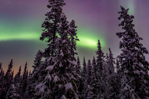 Tour fotografico dell&#039;aurora boreale con barbecue