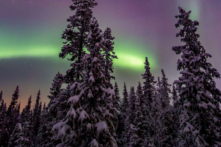 Tour fotografico dell&#039;aurora boreale con barbecue