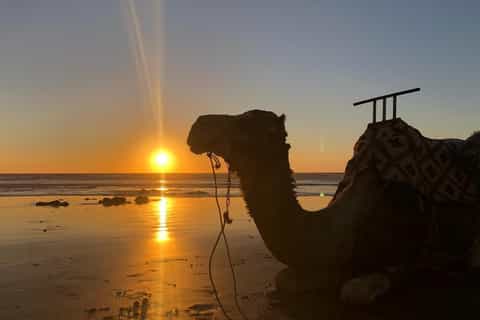Agadir: 2-hour Sunset Camel Ride