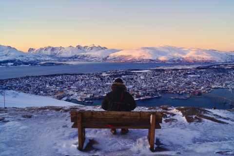 Tromsø: wycieczka kolejką linową i panorama Arktyki