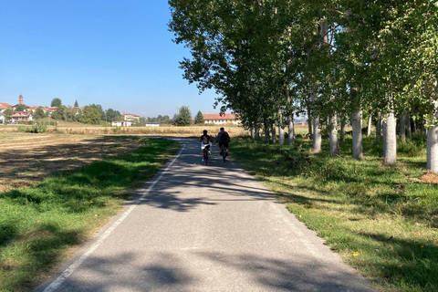 Noleggio E-Bike nel RoeroNoleggio E-Bike nel Roero - Giornata Intera