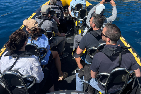 Balade en mer de Nice vers Monaco et stop à Villefranche