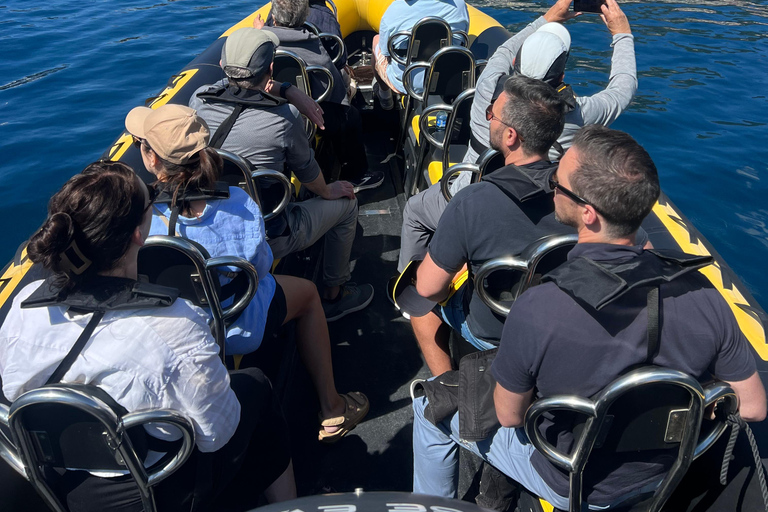 Balade en mer de Nice vers Monaco et stop à Villefranche