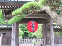 Da Tokyo, Kamakura Tempio Guidato Privato - Hizvo