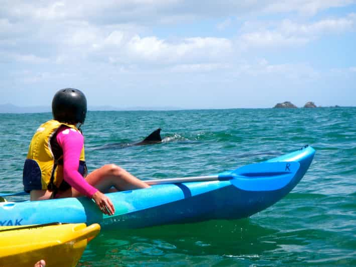 Live Virtual Byron Bay Dolphin Sea Kayak Tour - Go Sea Kayak Byron