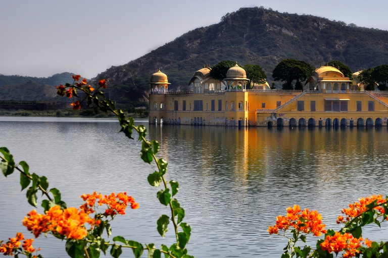 Jaipur: Heldags rundtur i den rosa staden med arkitektur