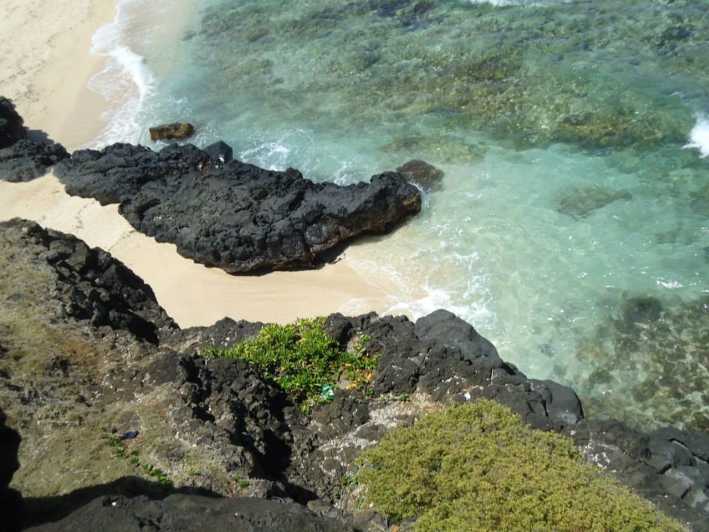 Mauritius: Vanilla Park and Wild Beaches Tour