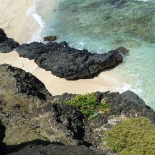 Mauritius: Vanilla Park ja Wild Beaches Tour