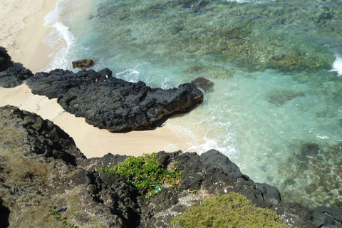 Mauritius: Vanilla Park and Wild Beaches Tour