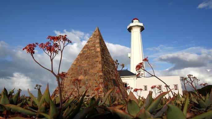 port elizabeth city sightseeing and guided safari tour