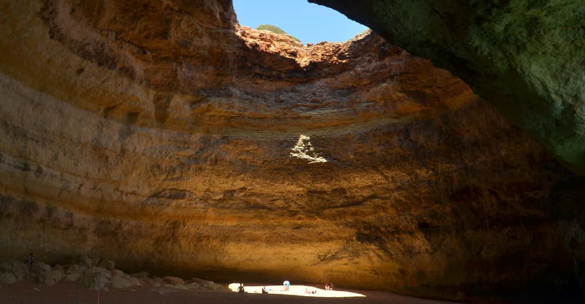 From Albufeira: 2.5-Hour Dolphin and Sea Caves Boat Tour
