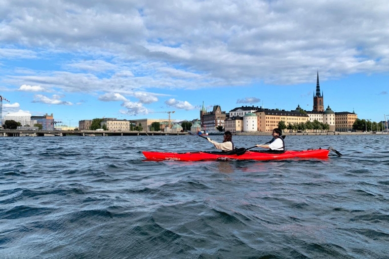 Estocolmo: tour guiado en kayak ecológico por la ciudad